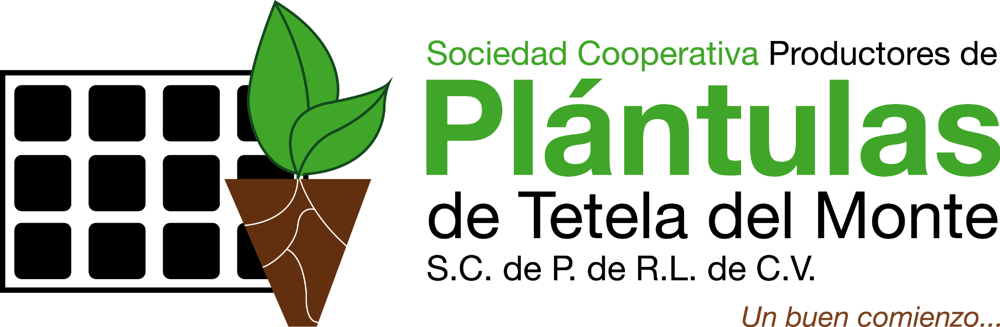 Logo Plántulas de Tetela